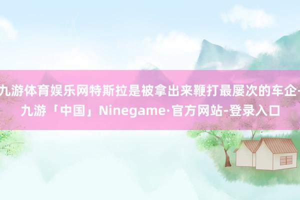 九游体育娱乐网特斯拉是被拿出来鞭打最屡次的车企-九游「中国」Ninegame·官方网站-登录入口