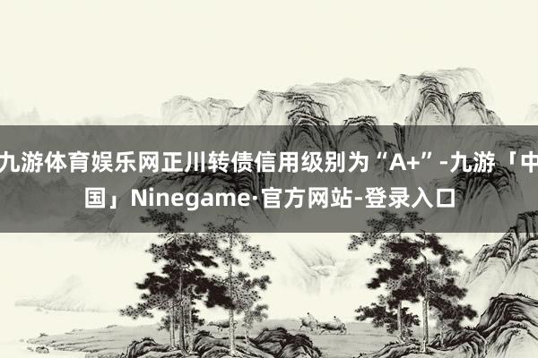 九游体育娱乐网正川转债信用级别为“A+”-九游「中国」Ninegame·官方网站-登录入口